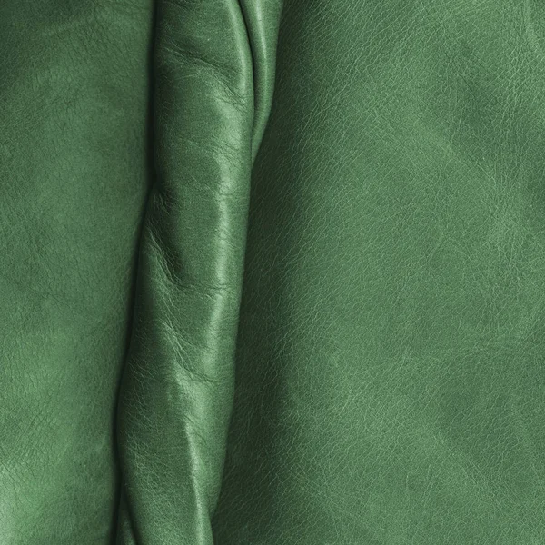 Frammento di giacca di pelle verde femminile come sfondo — Foto Stock