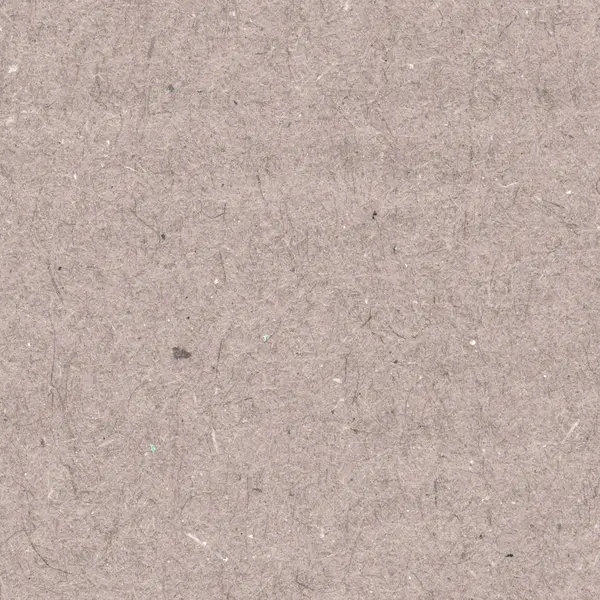 Hafif kahverengi karton doku portre — Stok fotoğraf