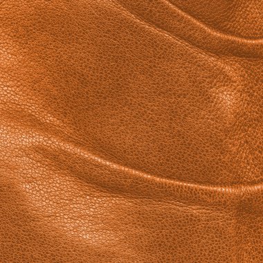 brigt sarı deri arka plan 