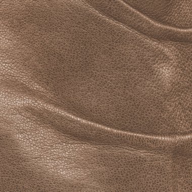 arkaplan olarak kahverengi deri dokusu