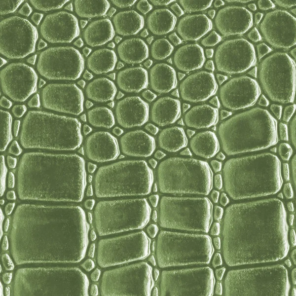 Green artificial snake skin texture closeup — Stock Photo, Image