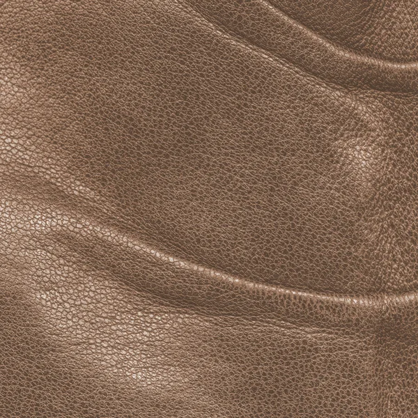Texture de cuir marron comme fond — Photo