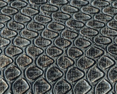 siyah yapay yılan deri doku portre