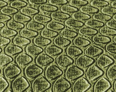 yeşil yılan deri doku portre. 