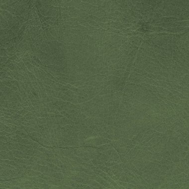 eski yeşil deri dokusu portre