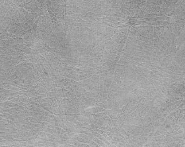 gri deri dokusu portre