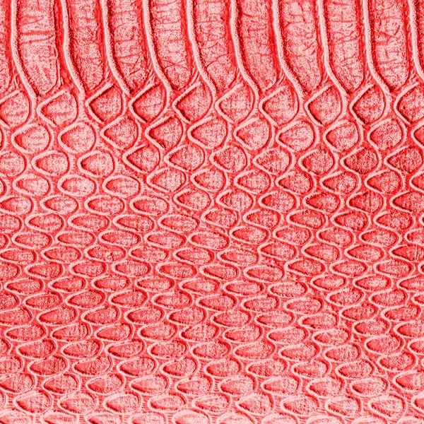 Red artificial snake skin texture. — Stock Photo, Image