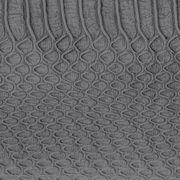 Textura de pele de cobra cinza. Útil para fundo — Fotografia de Stock