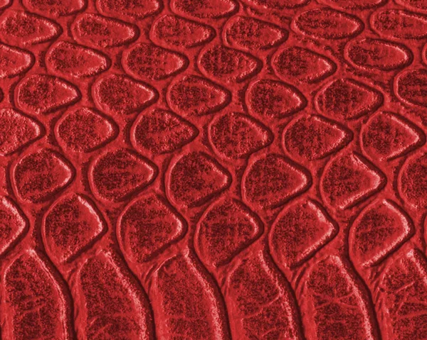 Czerwony wąż zbliżenie tekstury skóry. Przydatne dla tła — Zdjęcie stockowe
