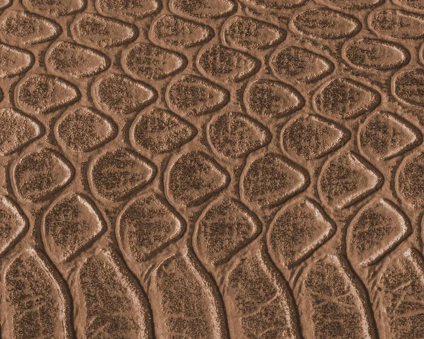 Textura de la piel de serpiente marrón primer plano . —  Fotos de Stock