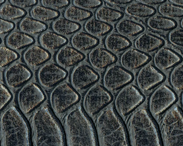 Kara Yılan deri doku portre. 