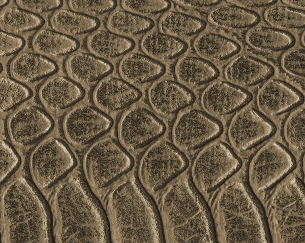 Kahverengi yılan deri doku portre. Arka plan için yararlı — Stok fotoğraf