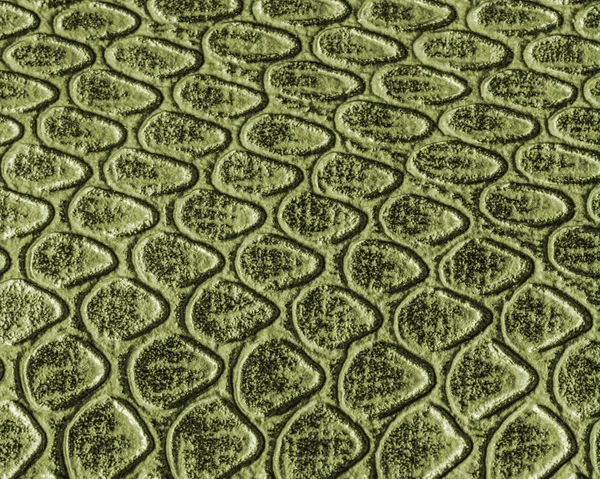 yeşil yılan deri doku portre. 