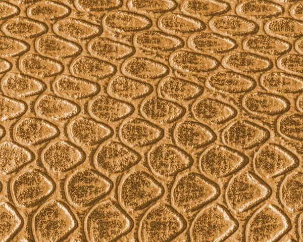 Sarı yılan deri doku closeup boyalı 