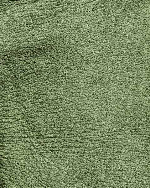 Green natural leather texture for design-works — Stock Photo, Image