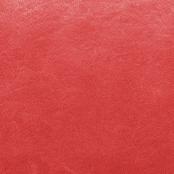 Red leather background. Useful for design-works — Stock Photo, Image