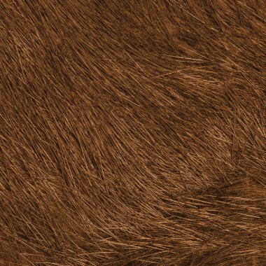 yüksek Detaylı doğal zencefil kürk doku