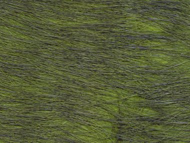 arka plan olarak yeşil kürk doku closeup boyalı 