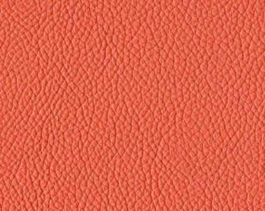 koyu kırmızı deri dokusu portre