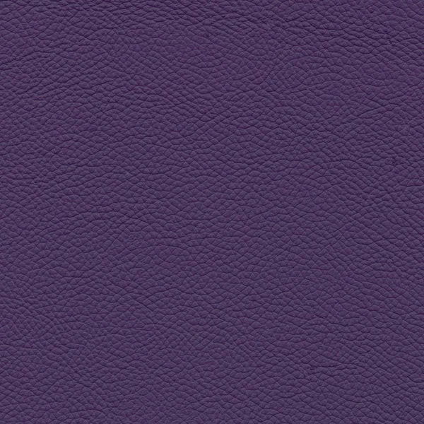 Textura de couro violeta para trabalhos de design — Fotografia de Stock