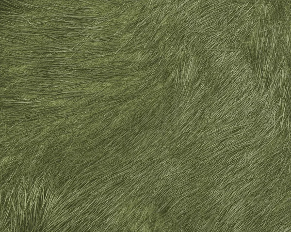 Painted green natural fur texture — Stock Photo, Image