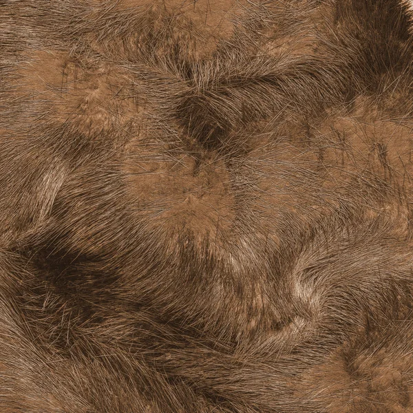 Світло-коричнева натуральна текстура хутра — стокове фото