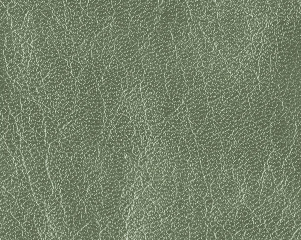 Textura de couro verde close-up como fundo — Fotografia de Stock