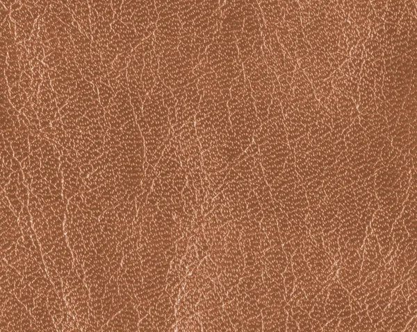 Light brown leather texture closeup for background — Stock Photo, Image