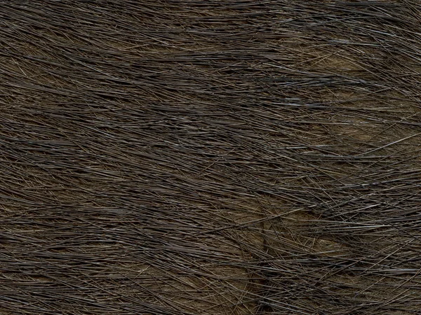 Φυσικό σκούρο καφέ γούνα υφή κινηματογράφηση σε πρώτο πλάνο — Φωτογραφία Αρχείου