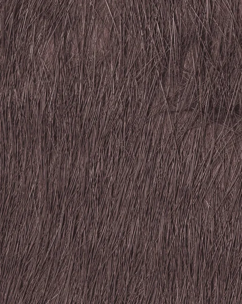 Texture de fourrure brune gros plan comme fond — Photo