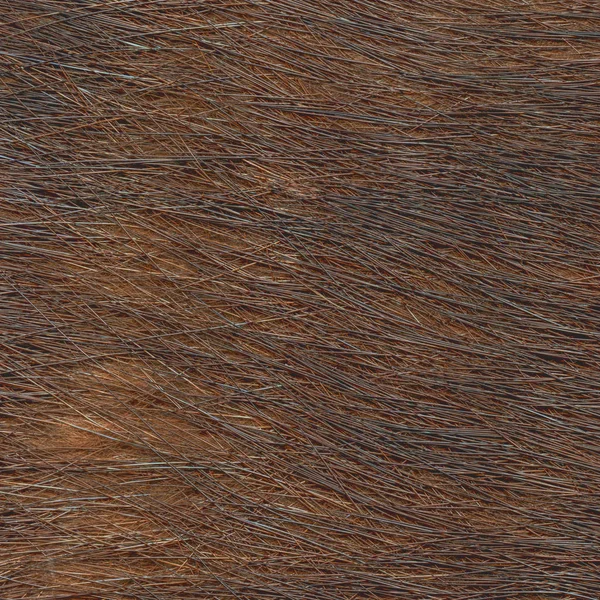 Texture naturelle de fourrure brune gros plan — Photo