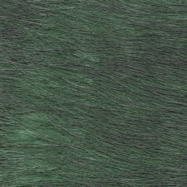 Malované detailní textury zelená kožešiny — Stock fotografie