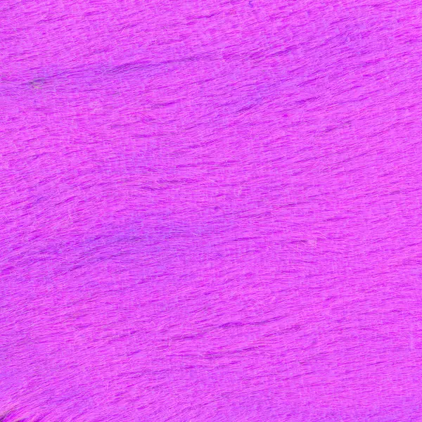 Violet textured background. Useful for design-works — Stock Photo, Image