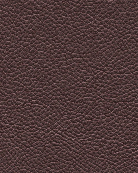 Brown leather texture closeup — Stock Photo, Image