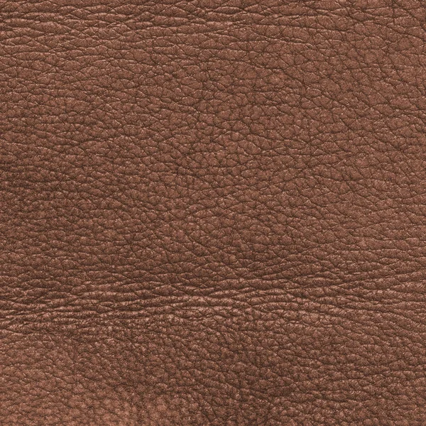 High detailed old brown leather texture — Stock Photo, Image