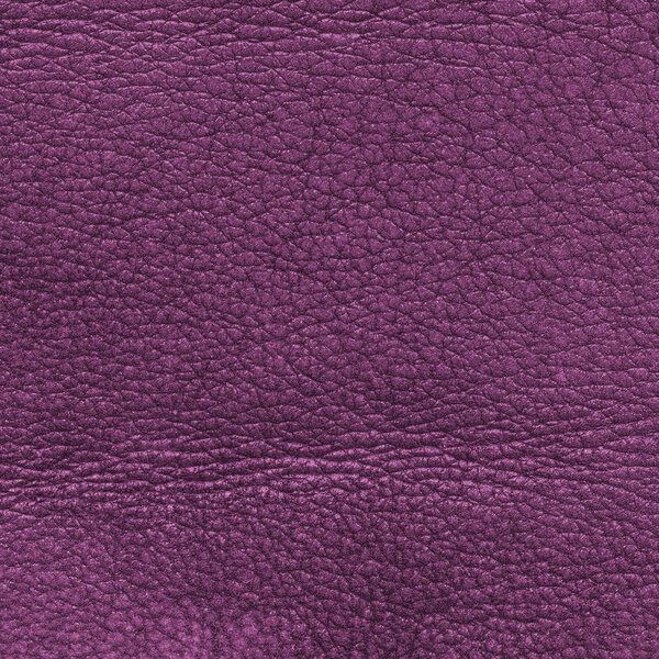high detailed old dark violet leather texture