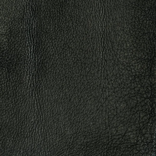  eski siyah deri doku. Arka plan olarak yararlı