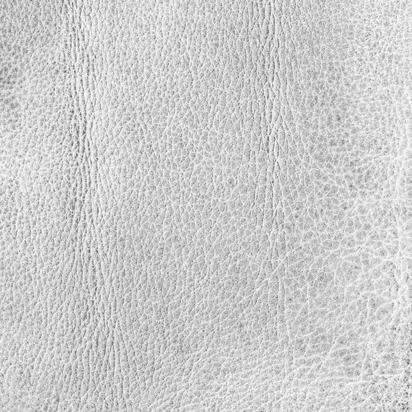 Old white leather texture. Useful  as background — Stock Photo, Image