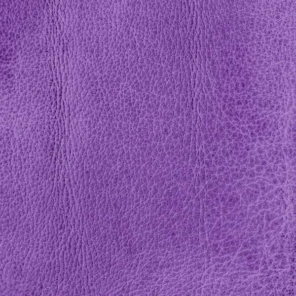 Textura de couro violeta velho. Útil como fundo — Fotografia de Stock