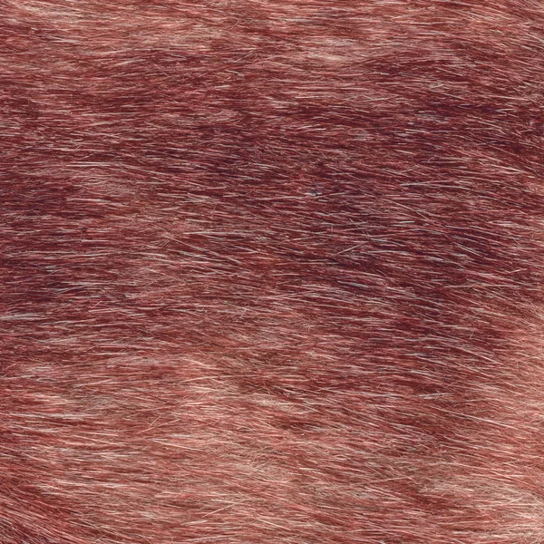 背景として古い塗られた赤い毛皮テクスチャ — ストック写真