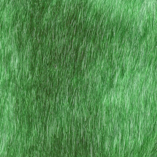 Arka plan olarak eski boyalı yeşil kürk doku — Stok fotoğraf