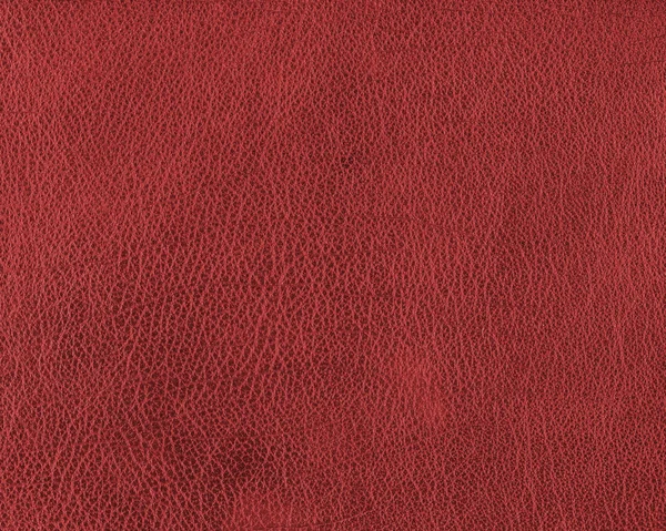 Red leather background for design-works — Stock Photo, Image