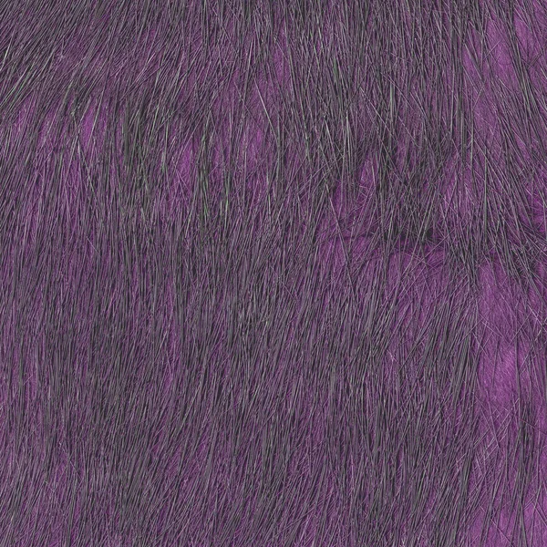 Painted violet natural  fur texture — Stock Photo, Image