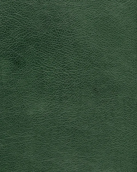 设计作品的绿色皮革背景 — 图库照片