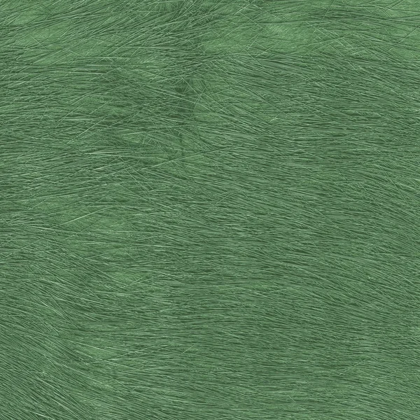 Painted green natural  fur texture. — Stock Photo, Image