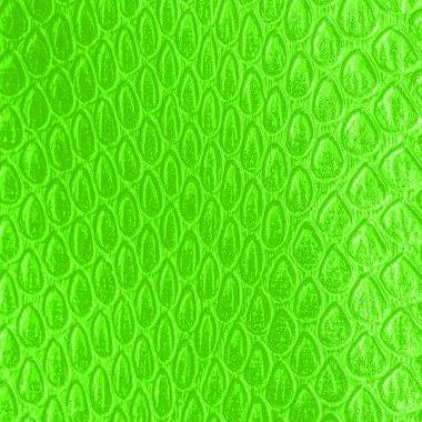 ışık yeşil yapay yılan deri doku portre. 