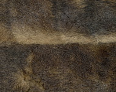 kahverengi doğal kürk doku closeup tasarım çalışmaları için 