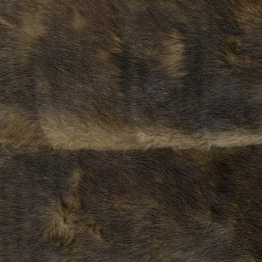 kahverengi doğal kürk doku, tasarım-çalışmaları için yararlı