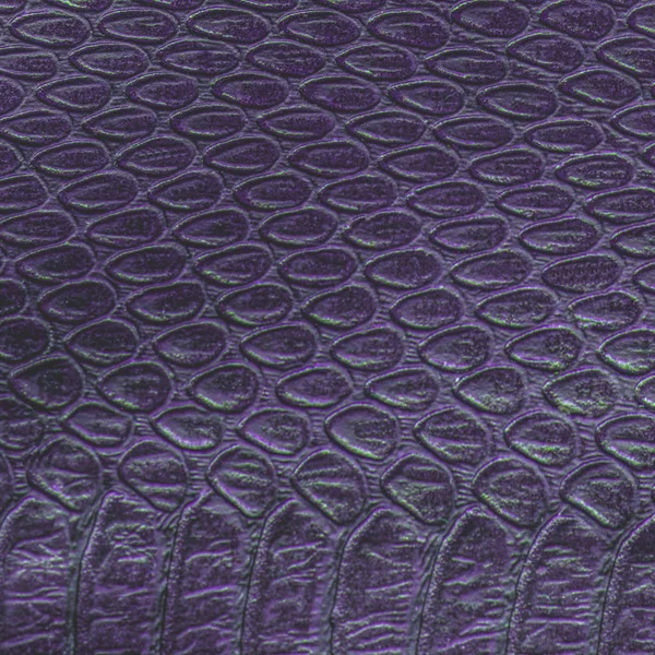 violet artificial snake skin texture. Useful as background