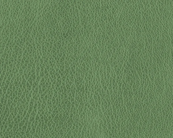 Зелена шкіряна текстура крупним планом — стокове фото